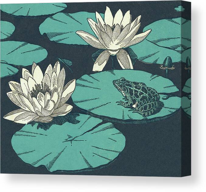 Amphibian Canvas Print featuring the drawing Water Lillies and Toad by CSA Images