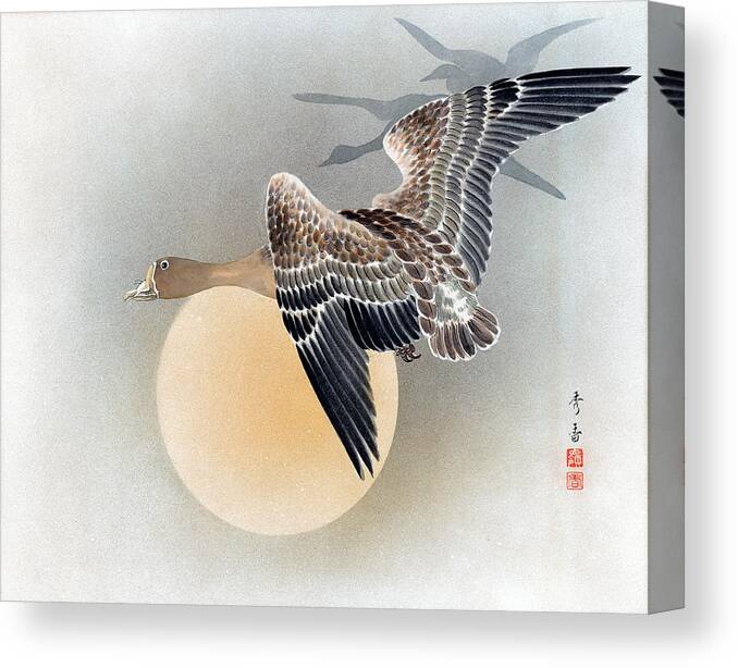 Shuko Canvas Print featuring the painting Wild Geese by Shuko