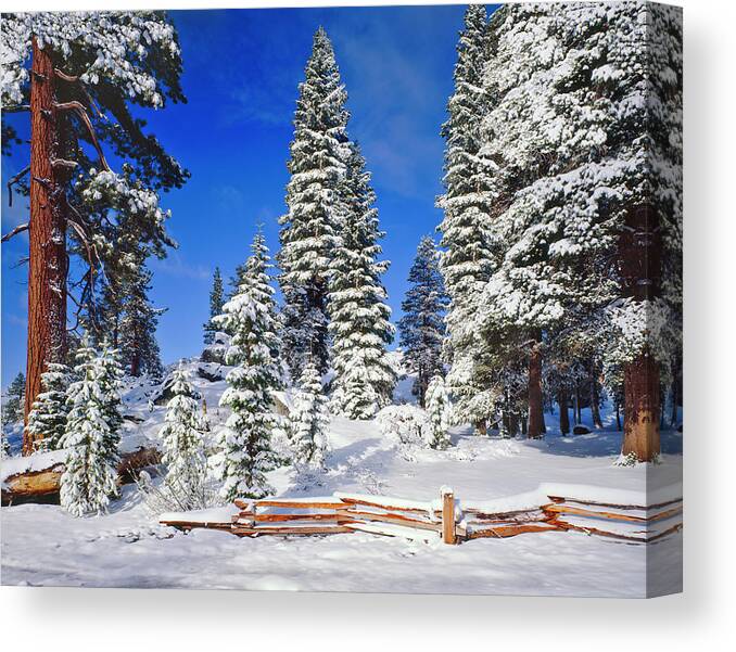 Scenics Canvas Print featuring the photograph Winter In California G by Ron thomas