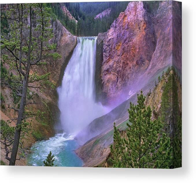 00586464 Canvas Print featuring the photograph Yellowstone Falls, Yellowstone National Park, Wyoming by Tim Fitzharris