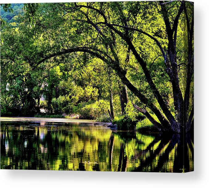 Lake Winona Canvas Print featuring the photograph Happy Place by Susie Loechler