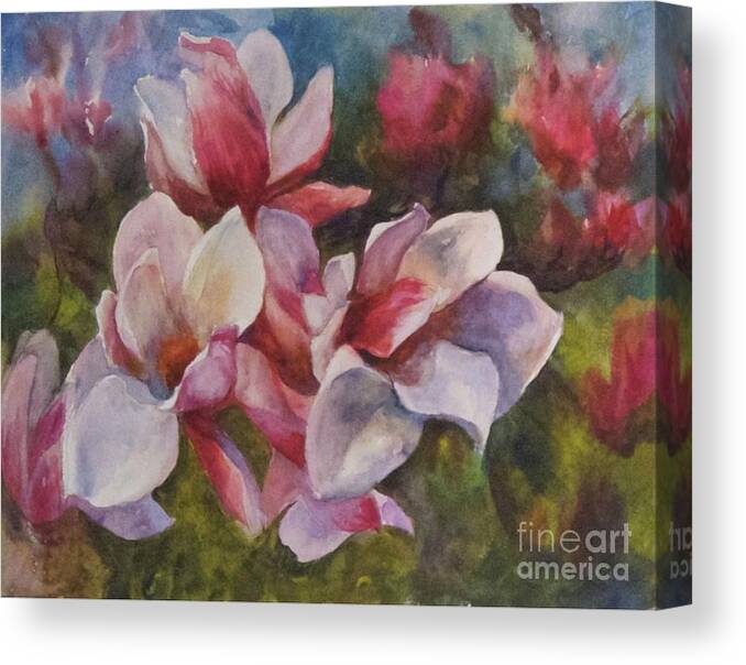 Magnolia Canvas Print featuring the painting Magnolia blossoms #1 by B Rossitto