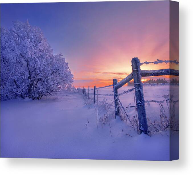 Landscape Canvas Print featuring the photograph Winter Magic #1 by Dan Jurak