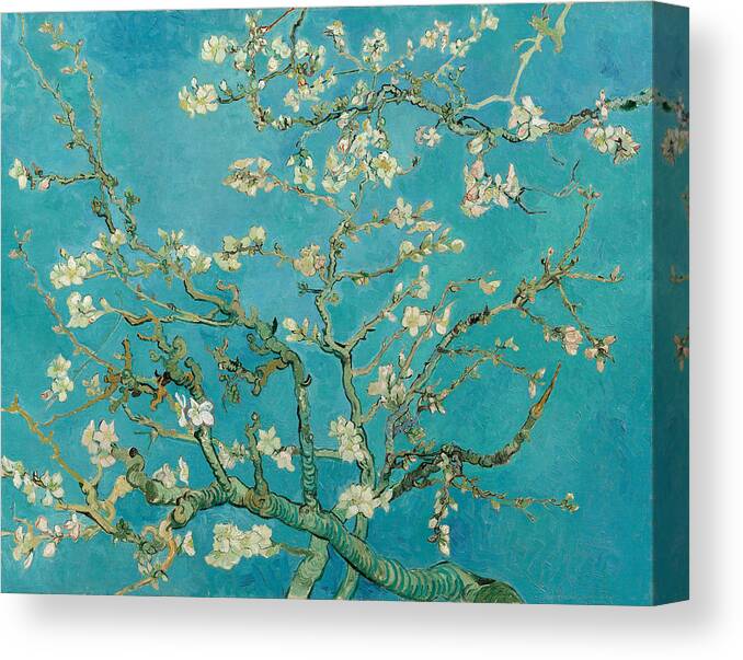 Famous Canvas Print featuring the painting Almond Blossom by Vincent Van Gogh