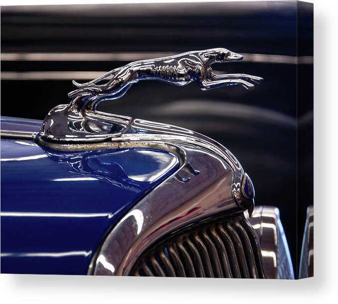 1934 Ford Canvas Print featuring the photograph 1934 Ford Greyhound Hood Ornament by Flees Photos
