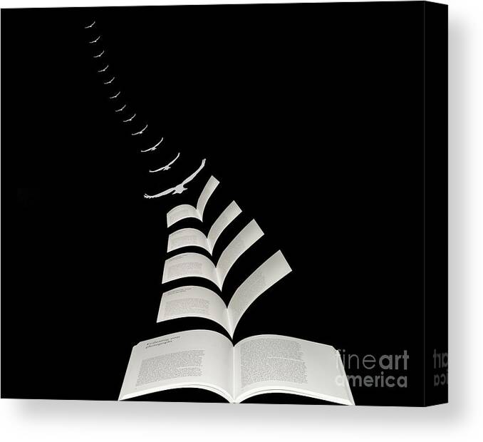 Photography Canvas Print featuring the mixed media Reading gives you Wings #2 by Jim Hatch