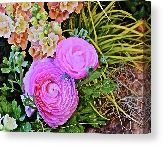 Persian Buttercup Canvas Print featuring the photograph 2020 Persian Buttercup and Snapdragons 2 by Janis Senungetuk