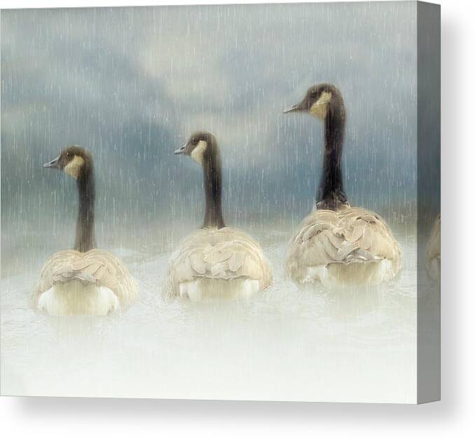 Geese Canvas Print featuring the photograph 3 Geese in the Rain by Marjorie Whitley