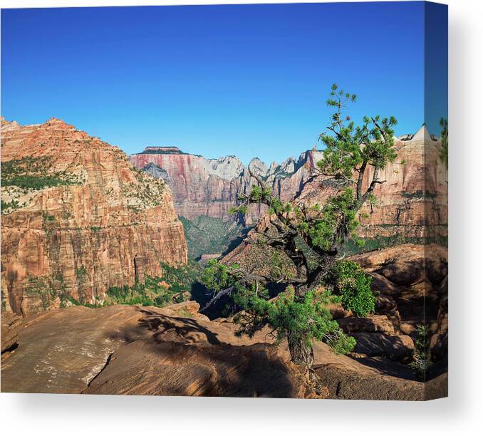 Zion Canvas Print featuring the photograph Zion #3 by Dmdcreative Photography