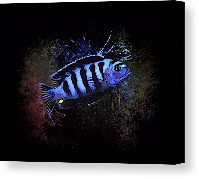 Saulosi Cichlid Canvas Print featuring the digital art A Male Saulosi African Cichlid by Scott Wallace Digital Designs