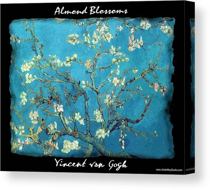 Vincent Canvas Print featuring the painting Almond Blossoms - VVG by The GYPSY and Mad Hatter