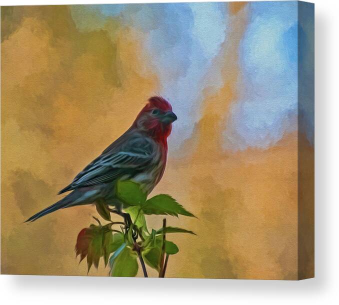Bird Canvas Print featuring the photograph At The Top by Cathy Kovarik