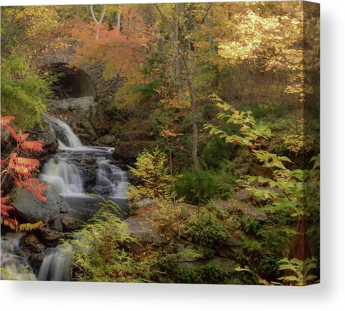 Dreamscape Canvas Print featuring the photograph Autumn Falls by Christina McGoran
