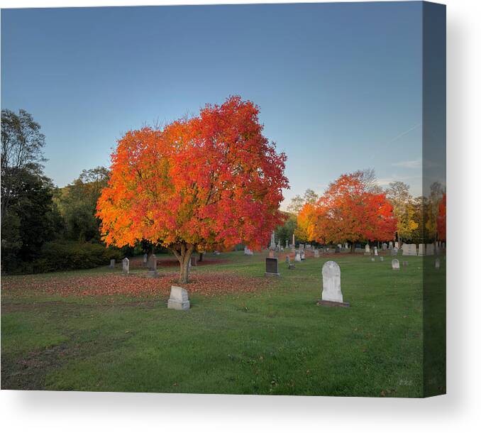 Autumn Canvas Print featuring the photograph Autumn Landscape Color by David Gordon