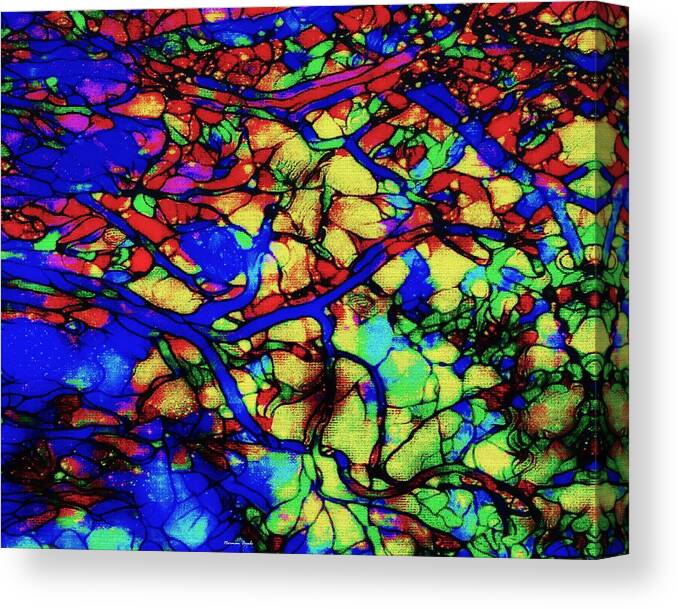 Harmony Canvas Print featuring the digital art Beauty Flow by Norman Brule