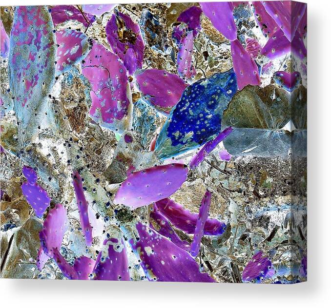 Surreal-nature-photos Canvas Print featuring the digital art Bespeckled I.C. by John Hintz