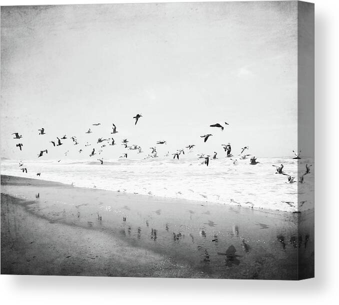 Ocean Canvas Print featuring the photograph Birds Reflected by Lupen Grainne