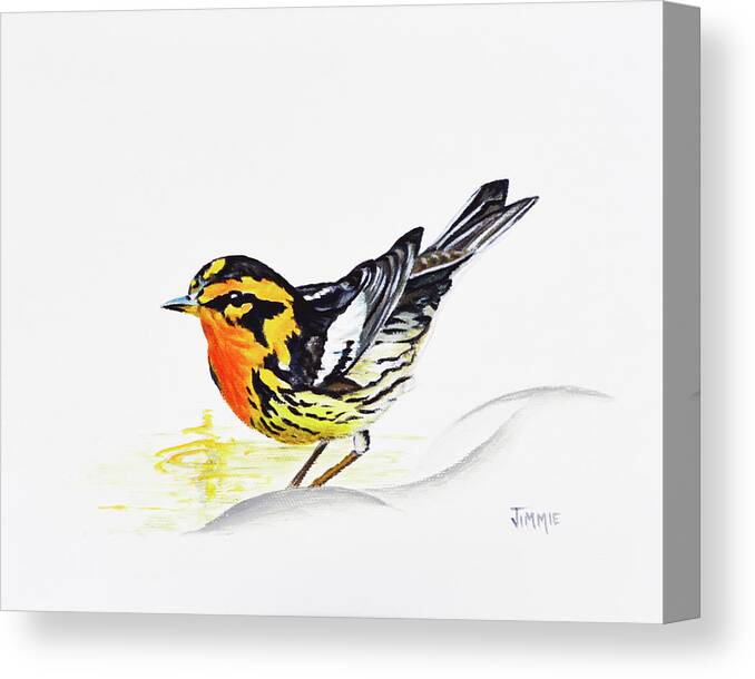 Bird Canvas Print featuring the painting Black Burnian Warbler by Jimmie Bartlett