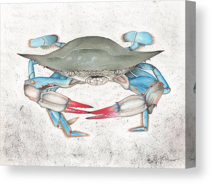 Blue Crab Canvas Print featuring the painting Blue Crab #1 by Bob Labno