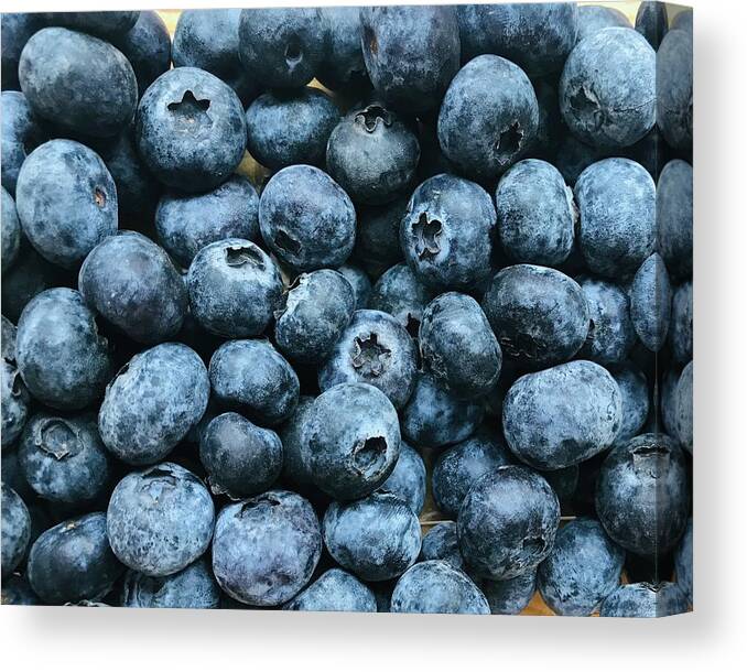 Blueberries Canvas Print featuring the photograph Blueberries Waiting For Jam by Alida M Haslett