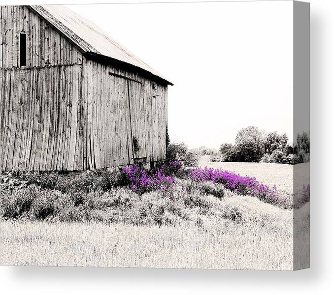 Brillion Canvas Print featuring the digital art Brillion Barn with flowers by Stacey Carlson
