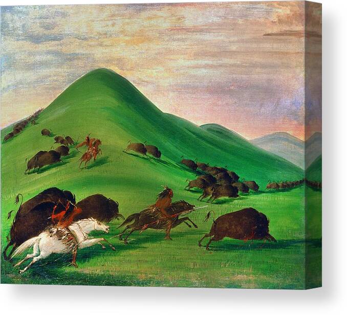 1830 Canvas Print featuring the painting BUFFALO HUNT, 1830s by George Catlin