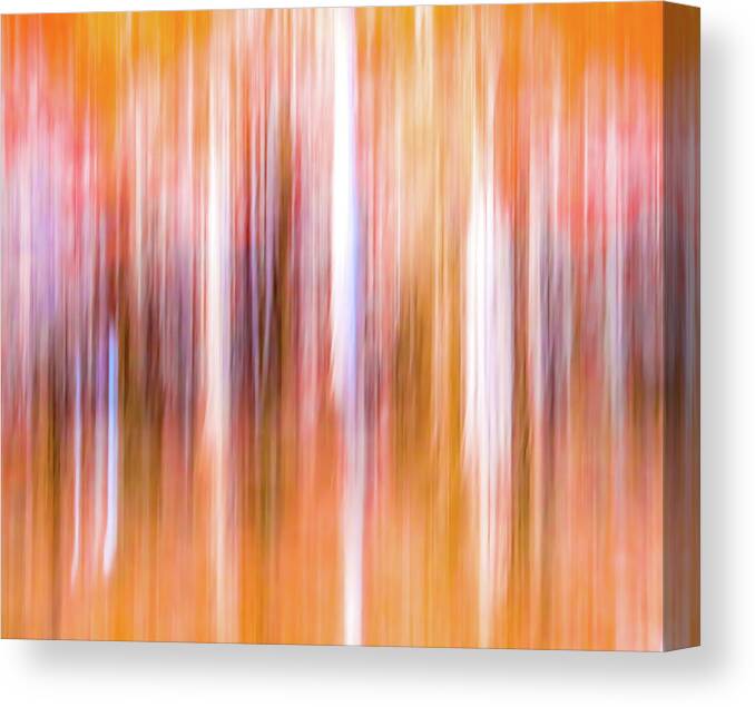 Abstract Canvas Print featuring the photograph Caddo Abstract 914 by David Downs