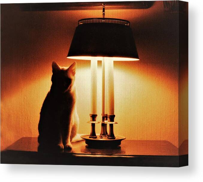 Cat Lamp Desk Light Shadow Canvas Print featuring the photograph Cat Lamp by John Linnemeyer