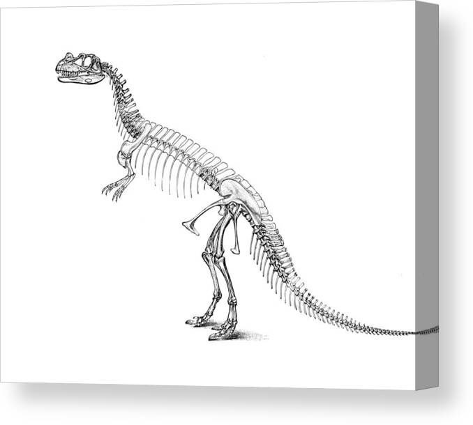 Dino Canvas Print featuring the digital art Ceratosaurus Anatomy by Madame Memento