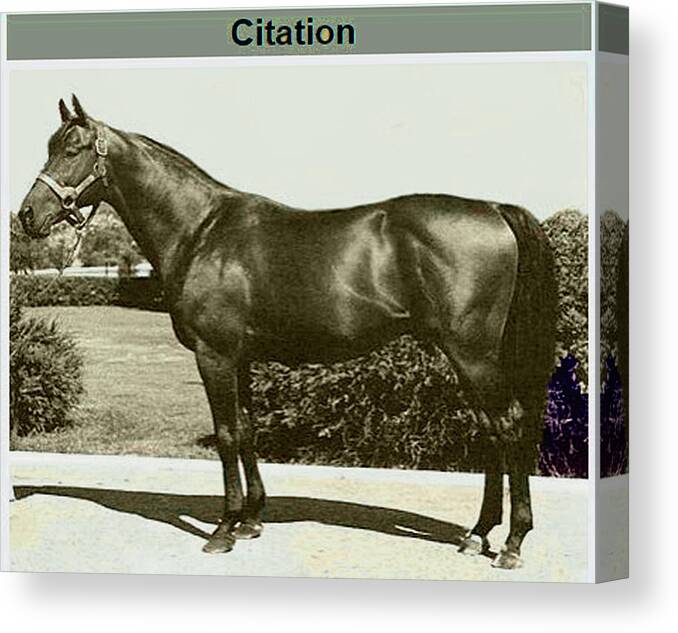 Citation Canvas Print featuring the photograph Citation by Imagery-at- Work