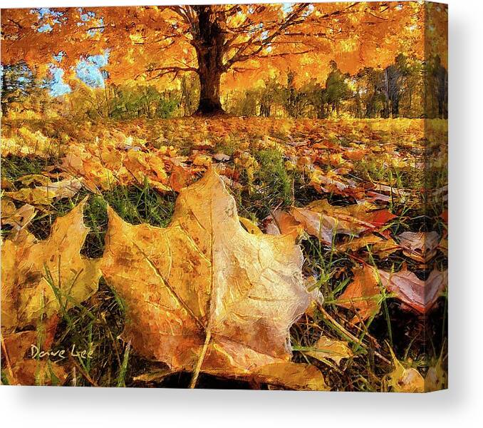 Fall Canvas Print featuring the digital art Close-up On Fall by Dave Lee