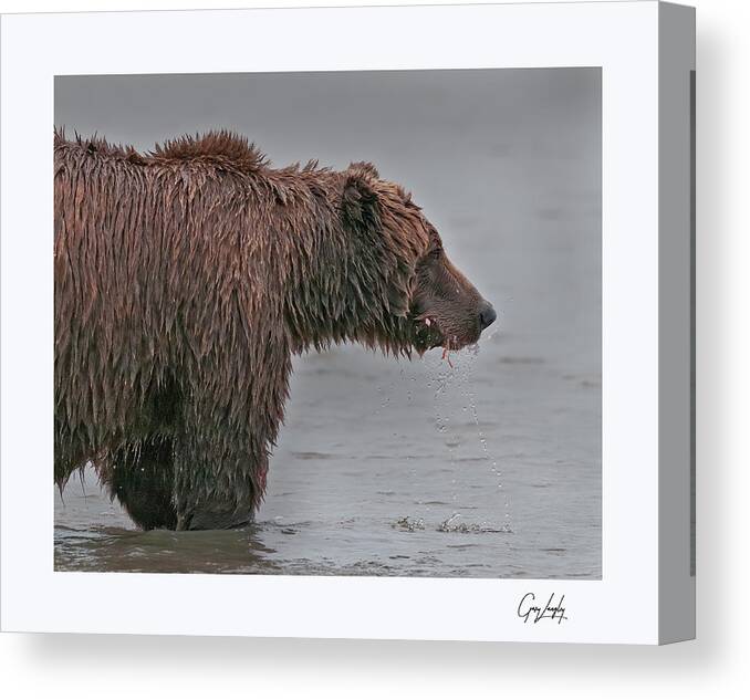 Wild Canvas Print featuring the photograph Coastal Brown Bear by Gary Langley