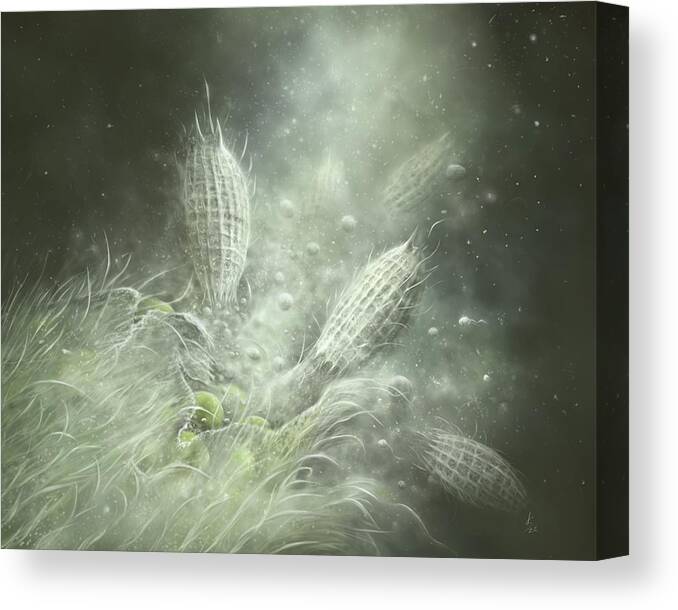 Protozoa Canvas Print featuring the digital art Coleps Feeding Frenzy by Kate Solbakk