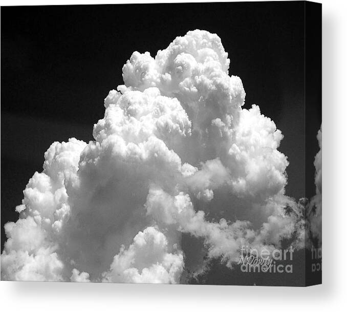 Cumulus Cloud Canvas Print featuring the photograph Cumulus Cloud by Natalie Dowty