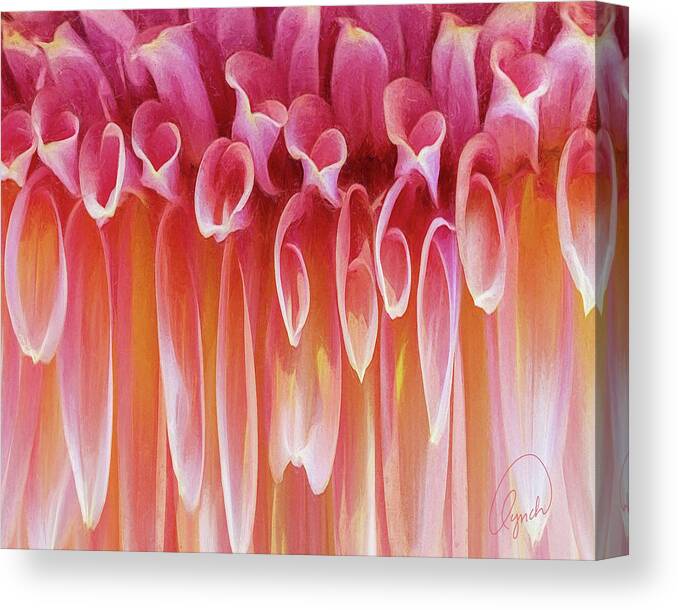 Abstract Canvas Print featuring the photograph Dahlia by Karen Lynch