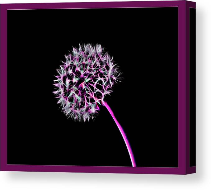 Dandelion Canvas Print featuring the photograph Dandelion Wld Flower 102.2107 by M K Miller