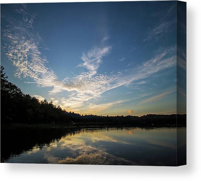 Clouds Canvas Print featuring the photograph Excellent Bird by Jerry LoFaro
