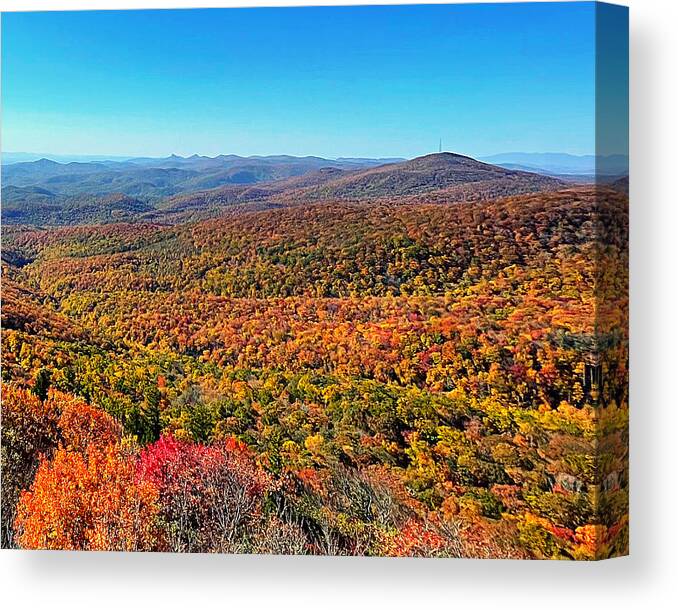 Blue Ridge Parkway Canvas Print featuring the photograph Fall Leaves by Lee Darnell