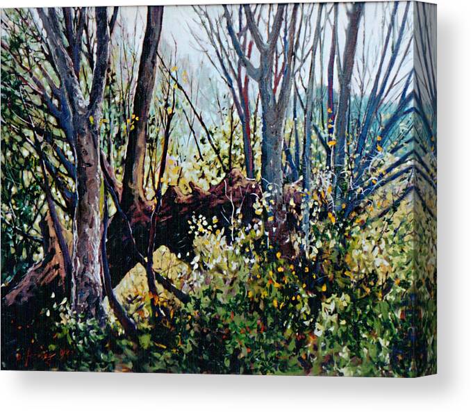 Landscape Canvas Print featuring the painting Fallen Warrior by Douglas Jerving