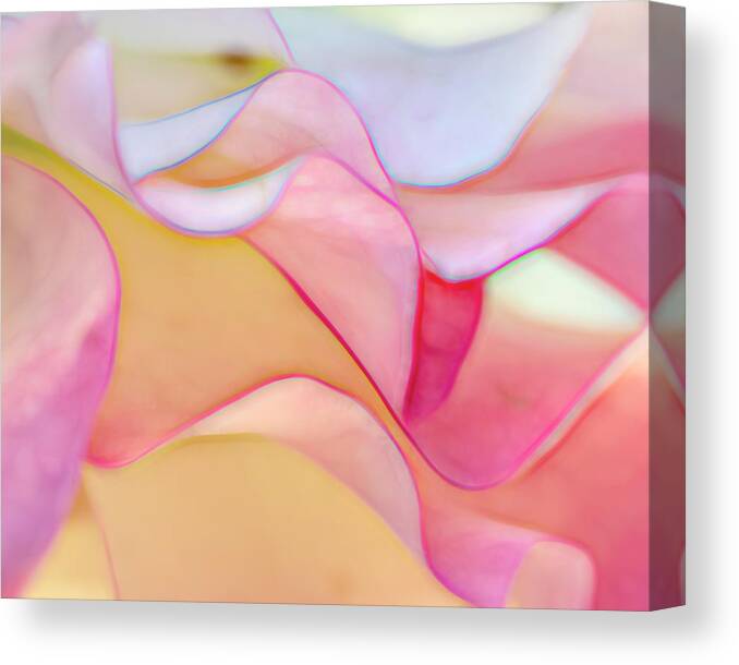 Abstract Canvas Print featuring the photograph Fantasy by Cathy Kovarik