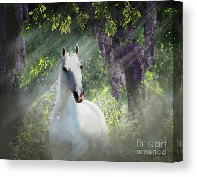 Wisteria In Trees Canvas Print featuring the digital art Fantasy Orchard by Melinda Hughes-Berland