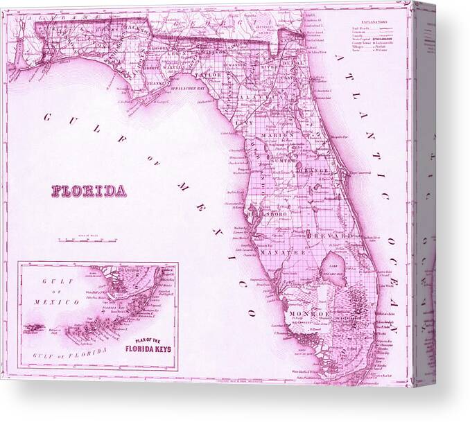 Florida Canvas Print featuring the photograph Florida Map Pink by Laura Fasulo