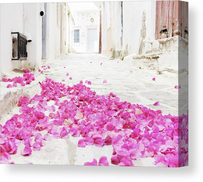 Greece Canvas Print featuring the photograph Flower Carpet by Lupen Grainne