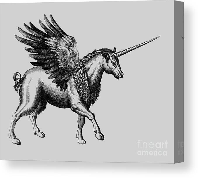 Unicorn Canvas Print featuring the digital art Flying Mythical Monster by Madame Memento