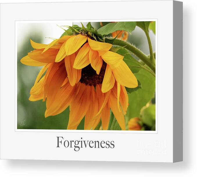 Emotions Canvas Print featuring the photograph Forgiveness by D Lee