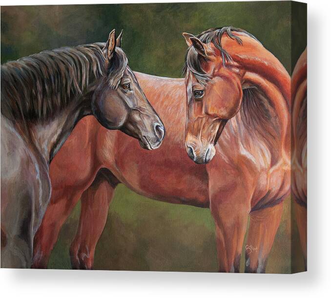 Two Horses Canvas Print featuring the painting Getting Reacquainted, Two Horses Greeting by Renee Forth-Fukumoto