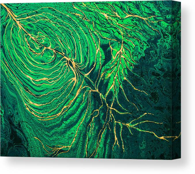 Green Canvas Print featuring the painting Golden Rivers Of Babylon by Iryna Goodall