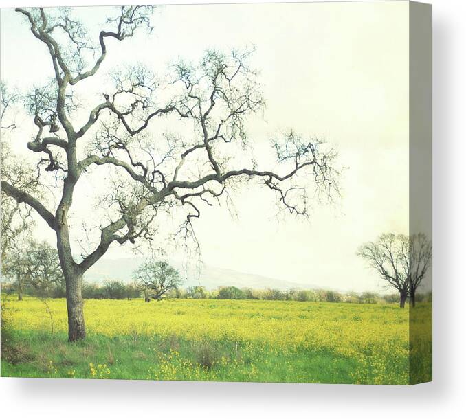 Landscape Photography Canvas Print featuring the photograph Green Gold by Lupen Grainne