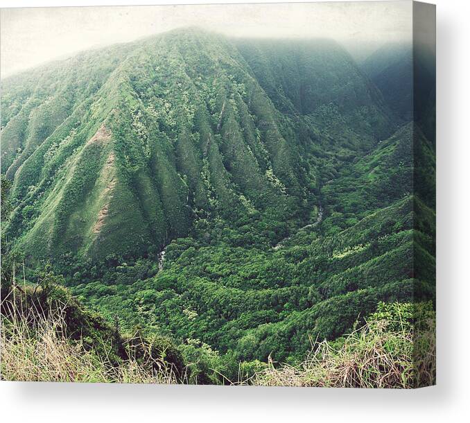 Hawaii Canvas Print featuring the photograph Green Valley by Lupen Grainne