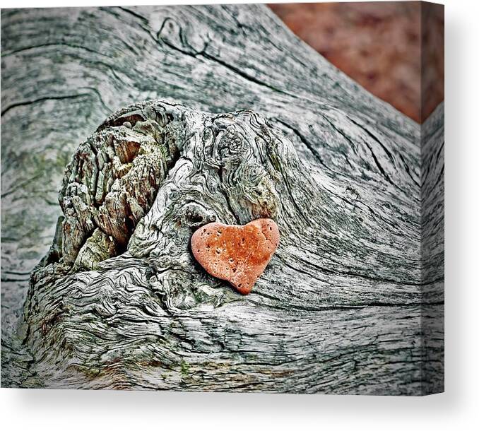 Rock Canvas Print featuring the photograph Heart Shaped Rock by Sarah Lilja